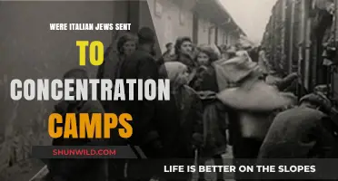 Italian Jews in Concentration Camps: History, Deportation, and Survival