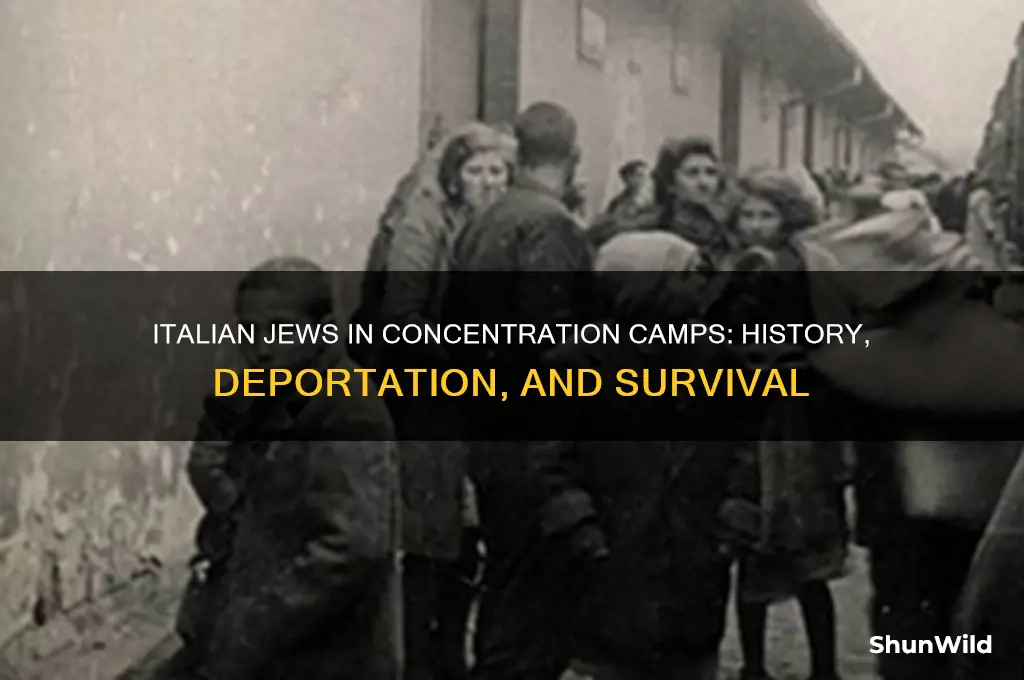 were italian jews sent to concentration camps