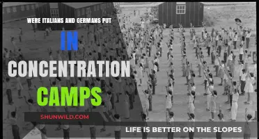 Italians and Germans in WWII Concentration Camps: Untold Stories