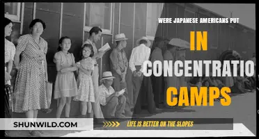 Japanese American Incarceration: The Dark History of Concentration Camps