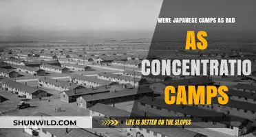 Comparing Japanese Internment Camps to Concentration Camps: A Historical Analysis