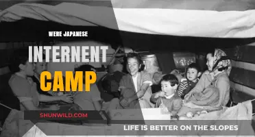 Uncovering the Dark History of Japanese Internment Camps in America