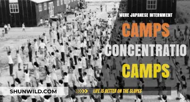 Were Japanese Internment Camps Actually Concentration Camps? A Historical Analysis