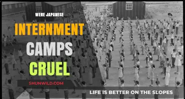 Were Japanese Internment Camps Cruel? Examining the Harsh Realities