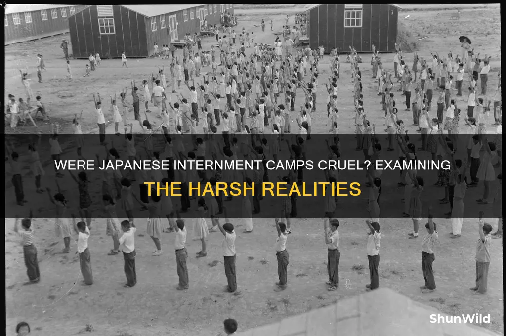 were japanese internment camps cruel