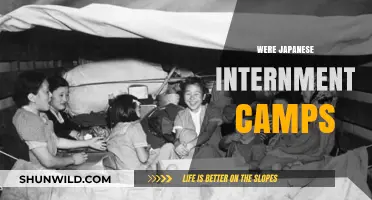 Unveiling the Dark History of Japanese Internment Camps in America