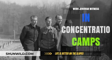 Jehovah's Witnesses' Resilience in Nazi Concentration Camps: A Forgotten Story