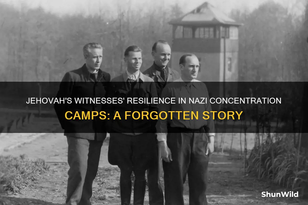 were jehovah witness in concentration camps