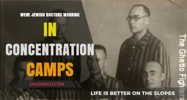 Jewish Doctors in Concentration Camps: Survival, Coercion, and Moral Dilemmas