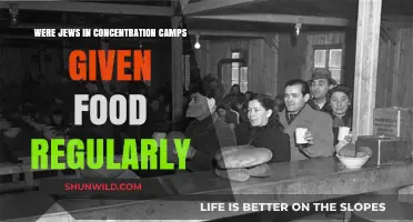 Food Rations in Concentration Camps: The Jewish Experience Unveiled
