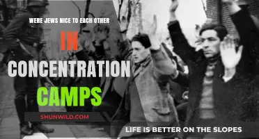 Solidarity Amidst Suffering: Jewish Bonds in Concentration Camps