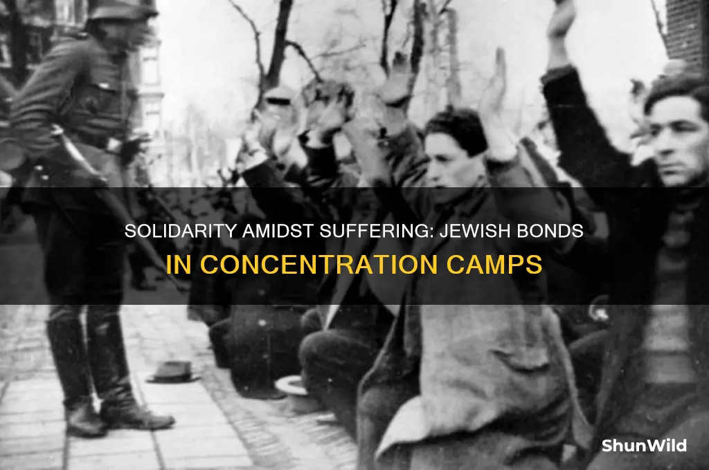 were jews nice to each other in concentration camps
