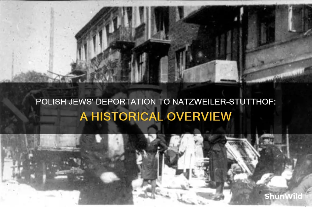 were jews sent from poland to natzweiler stuthof concentration camp