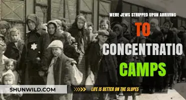 Arrival at Concentration Camps: The Brutal Stripping of Jewish Identity