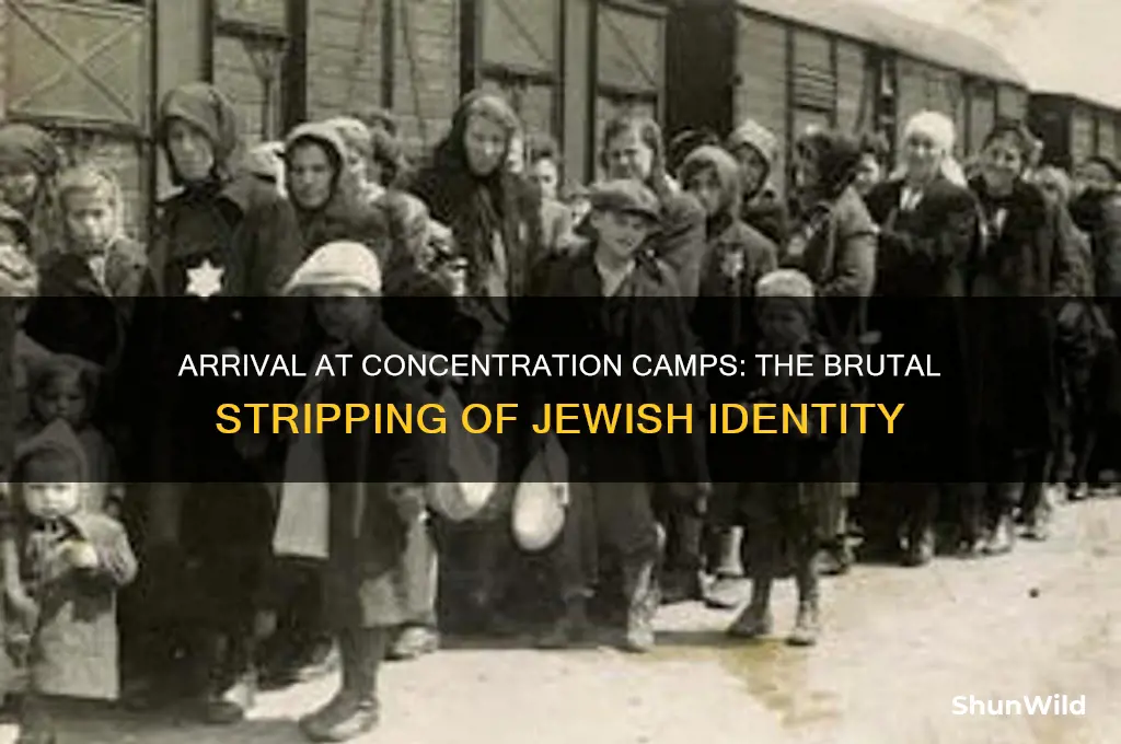 were jews stripped upon arriving to concentration camps