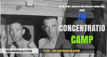 Unequal Suffering: Jewish vs. Non-Jewish Experiences in Concentration Camps