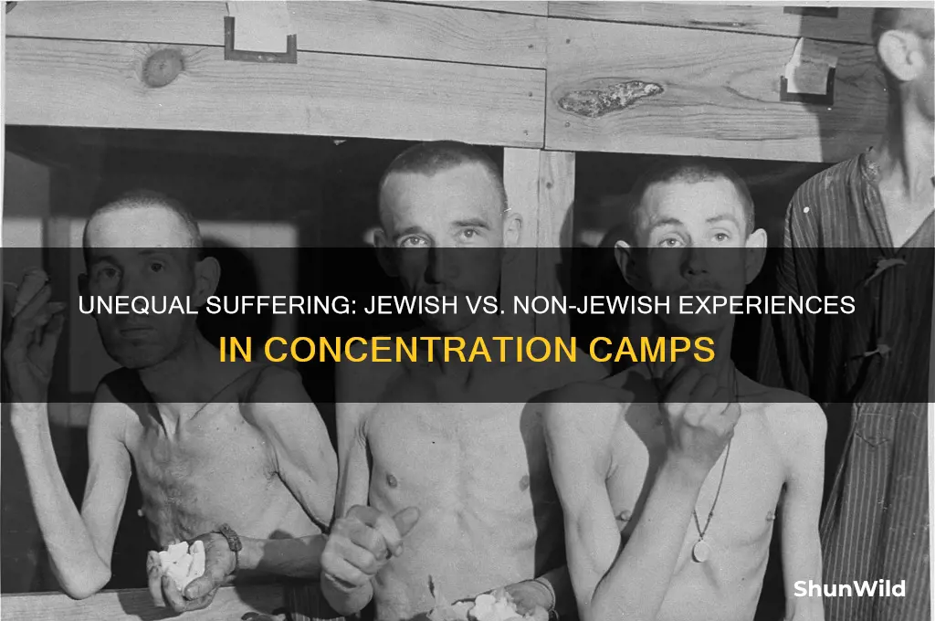 were jews treated differently from non-jews in concentration camp