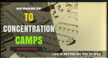 Were Mischlinge Sent to Concentration Camps? Uncovering the Tragic Truth