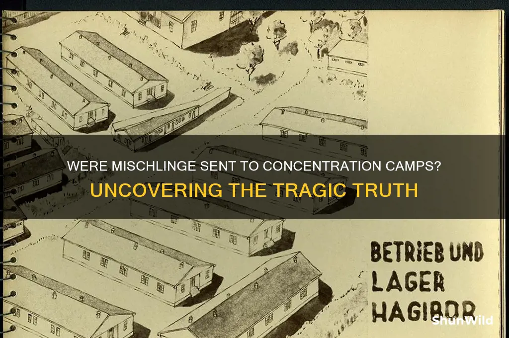 were mischlings sent to concentration camps