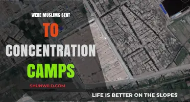 Muslim Persecution in Concentration Camps: Historical Facts and Forgotten Stories