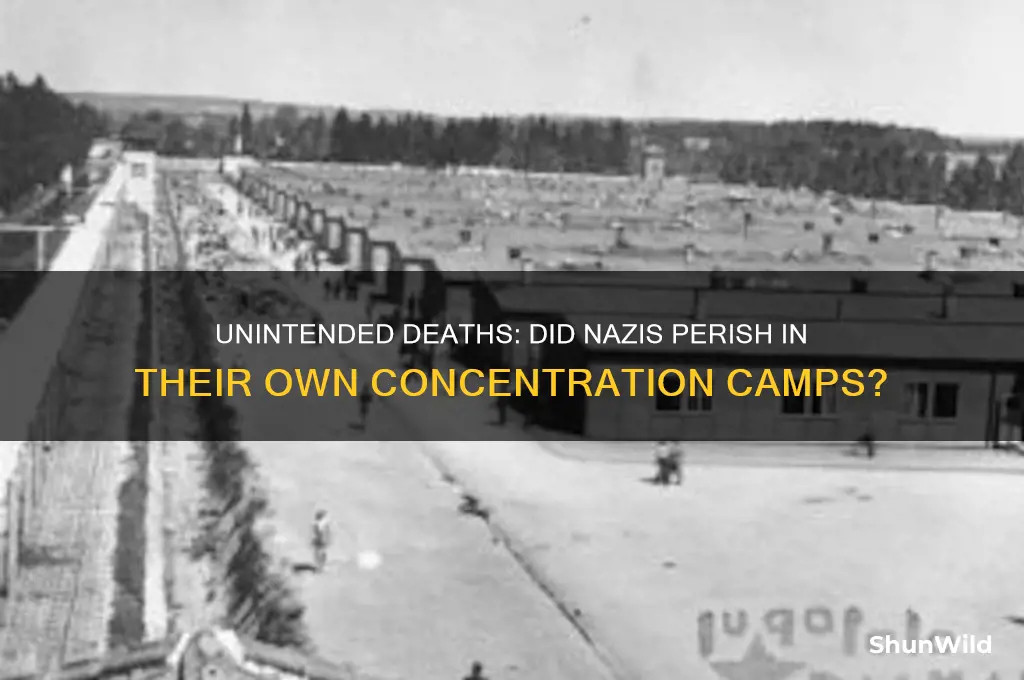 were nazis ever accidentally killed in concentration camps