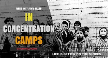 Beyond Jews: The Diverse Victims of Concentration Camps