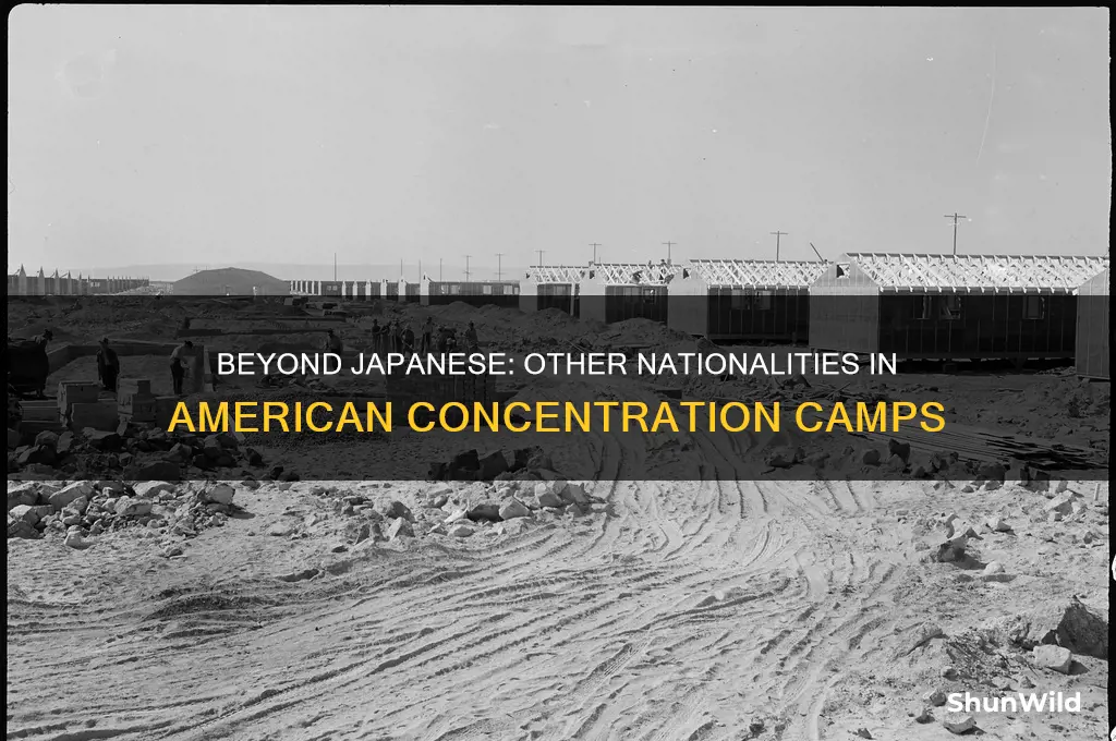 were other nationalities put into american concentration camps