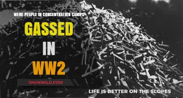 The Horrific Truth: Gassing in WWII Concentration Camps Explained