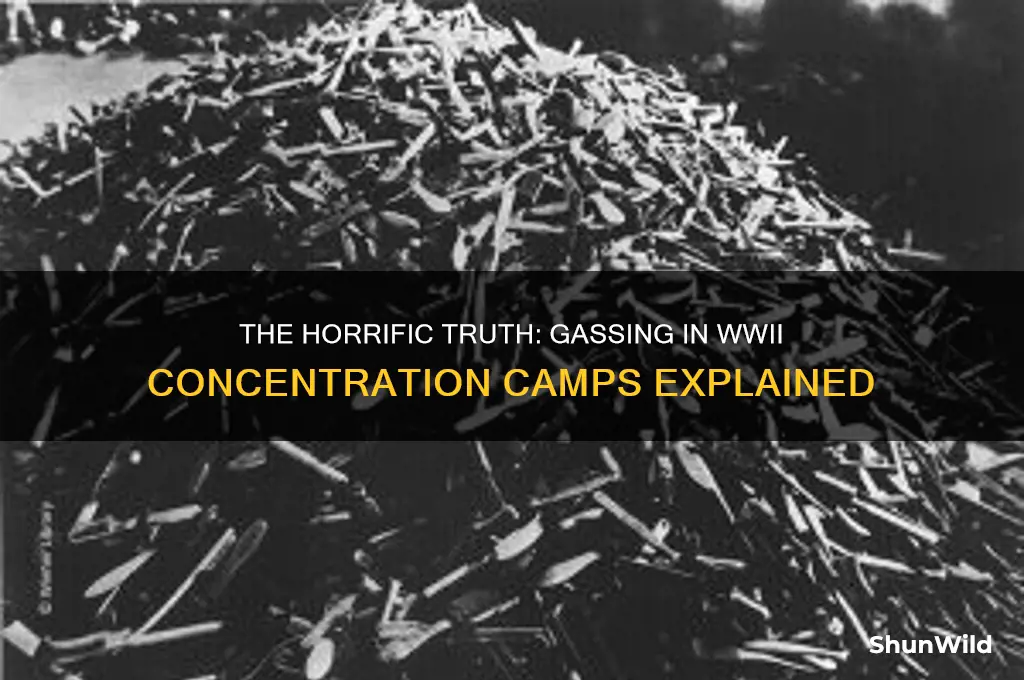 were people in concentration camps gassed in ww2