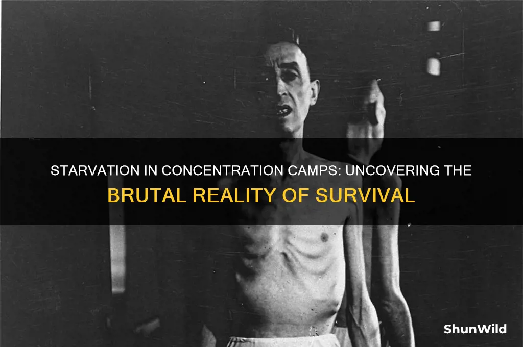 were people starved in concentration camps