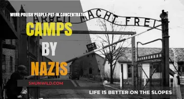 Polish Victims in Nazi Concentration Camps: A Forgotten History