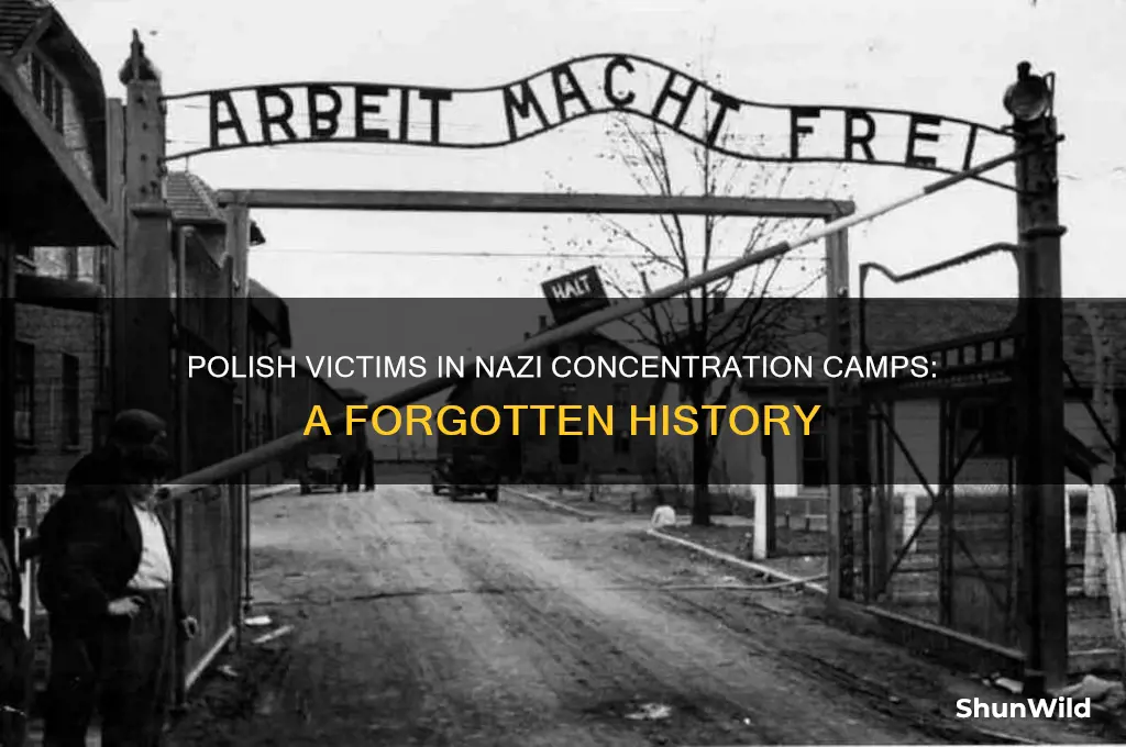were polish people put in concentration camps by nazis
