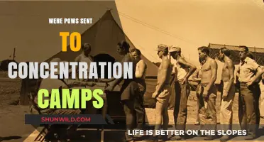 POWs in Concentration Camps: Uncovering the Hidden History of Captivity