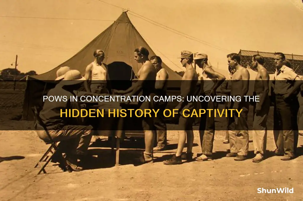 were pows sent to concentration camps