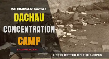 Dachau Concentration Camp: The Execution of Prison Guards Unveiled