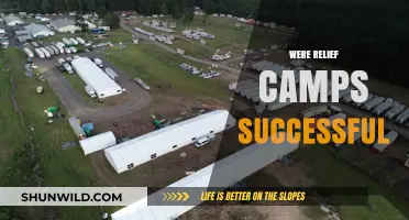 Assessing the Effectiveness of Relief Camps: Successes, Challenges, and Lessons Learned