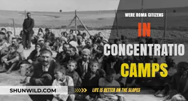 Roma Citizens in Concentration Camps: Forgotten Victims of Nazi Persecution