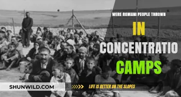 The Forgotten Genocide: Romani People in Concentration Camps
