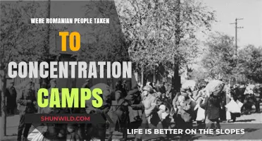 Romanian Victims in Concentration Camps: Uncovering a Hidden History
