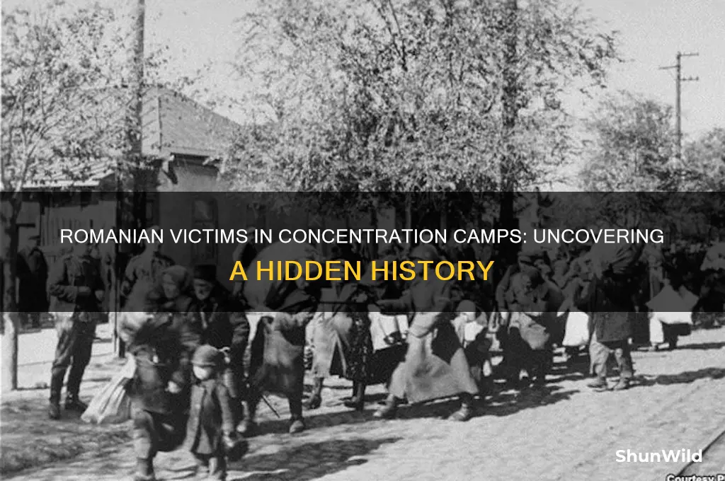 were romanian people taken to concentration camps