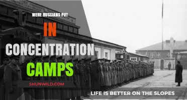 Russians in Concentration Camps: Uncovering the Hidden History of Persecution