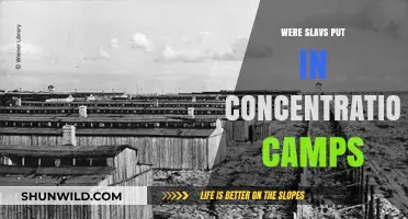 Slavs in Concentration Camps: Uncovering a Hidden History of Persecution