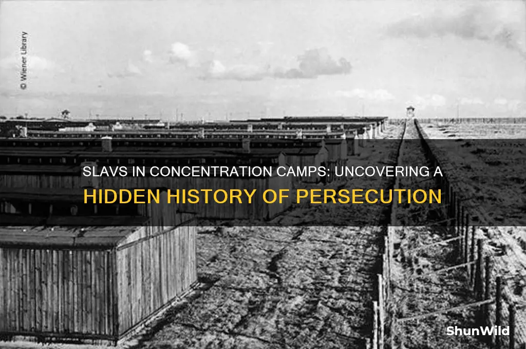 were slavs put in concentration camps