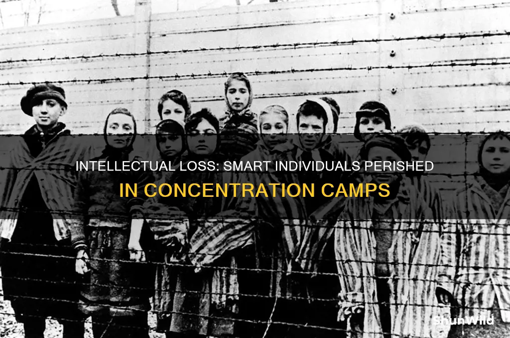 were smart people killed in concentration camps