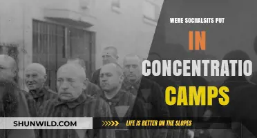 Socialists in Concentration Camps: Historical Persecution and Political Repression