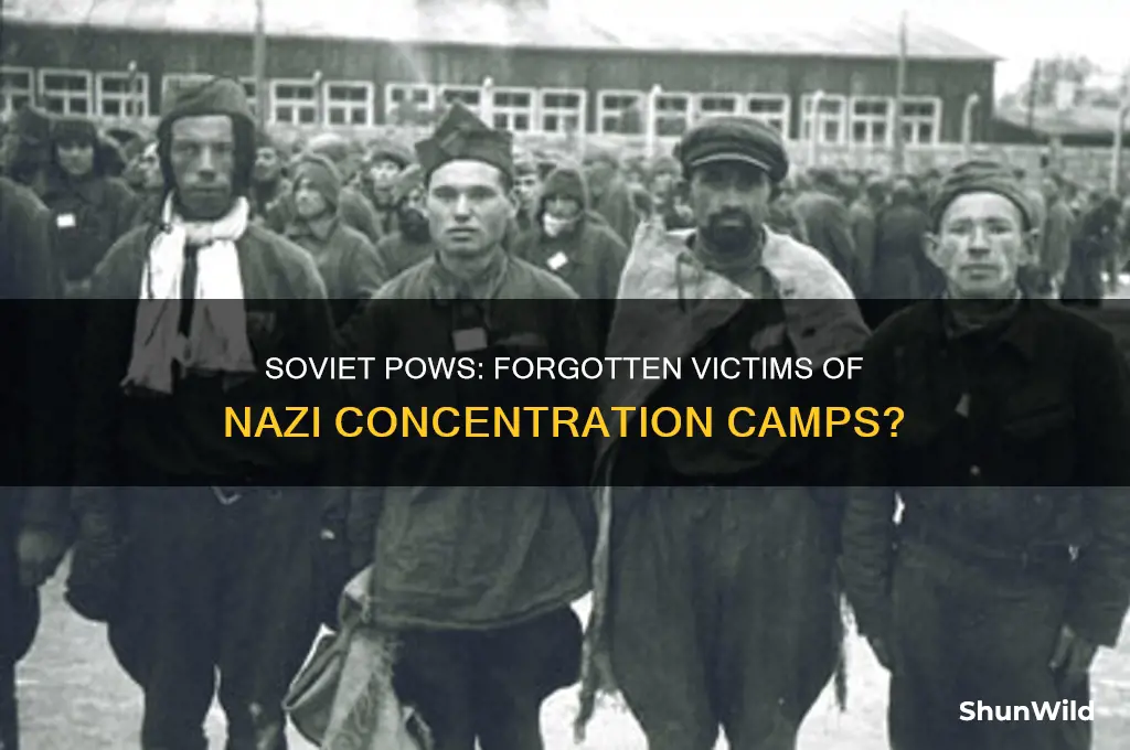 were soviet troops also victims of nazi concentration camps