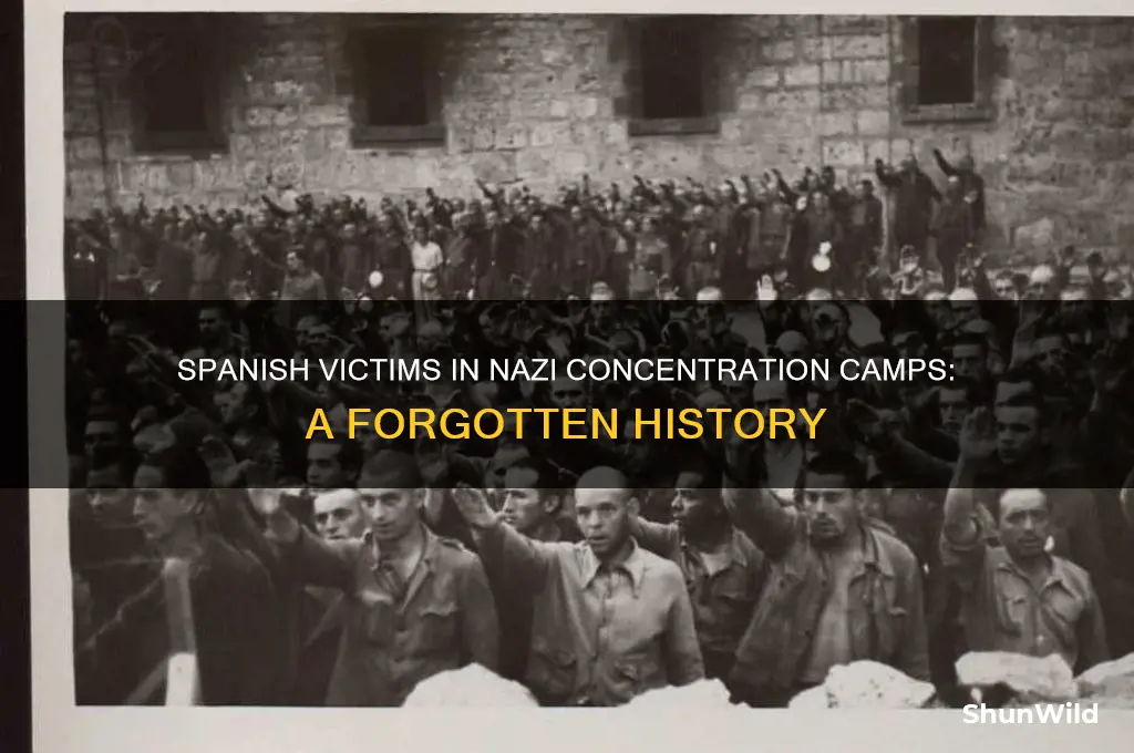 were spaniards in concentration camps