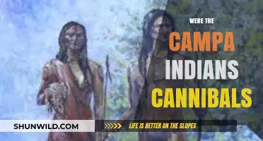 Unraveling the Cannibalism Myth: The Truth About the Campa Indians