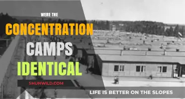Were Concentration Camps Uniform? Exploring Differences Across Nazi Camps