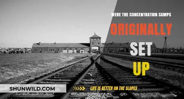 The Origins of Concentration Camps: Purpose and Early Establishment